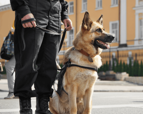 K9 Unit Services